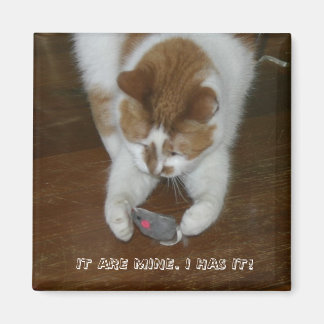 DET ÄR MITT. JAG HAR DET! MAGNET