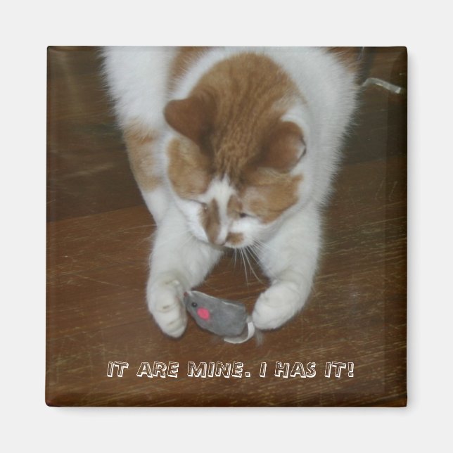 DET ÄR MITT. JAG HAR DET! MAGNET (Framsidan)