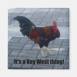Det är Nyckel Väster sak! Magnet