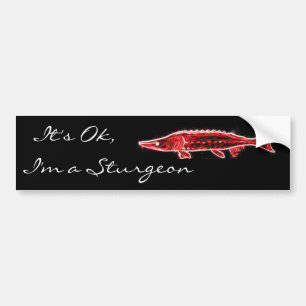 Det är ok, I-förmiddagen en stör Bildekal