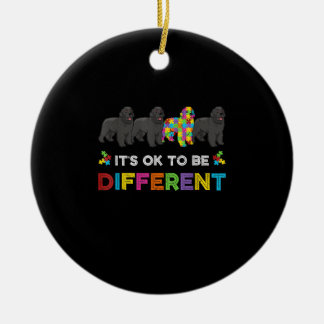 Det är okej att vara en annan Newfoundland Autism  Julgransprydnad Keramik