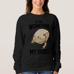 Det är onsdag mina bröder t shirt