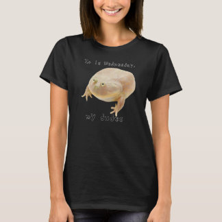 Det är onsdag My Dudes Classic Funny Frog PM 1 T Shirt