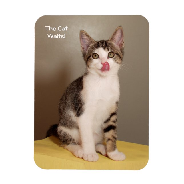 Det är Open Humous Tabby katt Magnet (Vertikal)