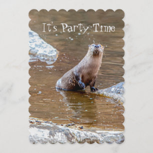 Det är Party, Otter, Bjud,Födelsedag. Inbjudningar