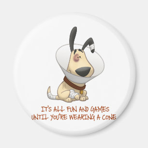 Det är Roligt och spel tills du har en klon Magnet