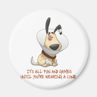 Det är Roligt och spel tills du har en klon Magnet