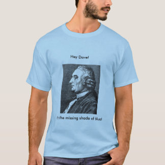 Det är saknaden skuggar av blått! t-shirt