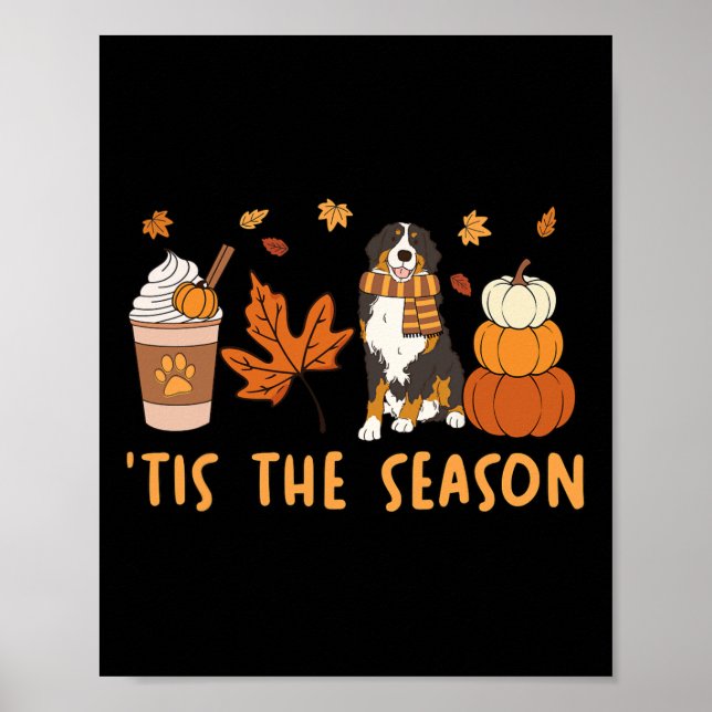 Det Är Säsongen Berner Sennenhund Höst Pumpa C Poster (Framsidan)
