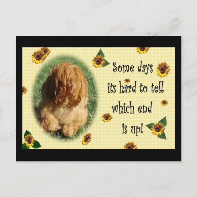 Det är slut! vykort (Framsida)