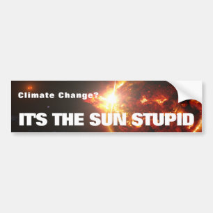 Det är Sol Stupid Bumper Sticker Bildekal