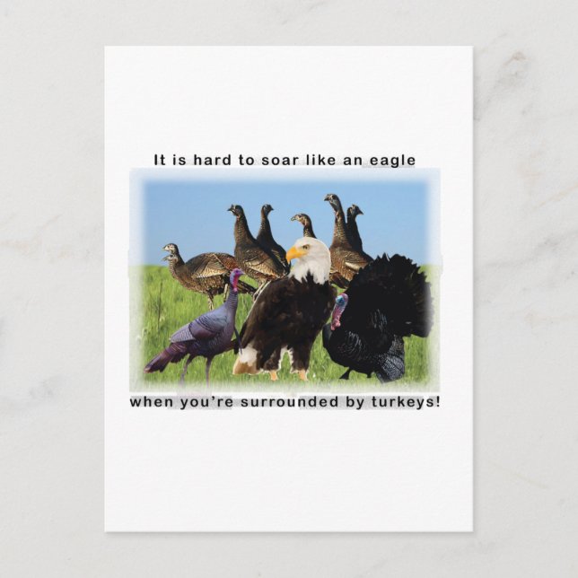 Det är svårt att soppa som ett örncitat vykort (Framsida)