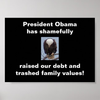 Det är synd om president Obama Örn Photo Poster