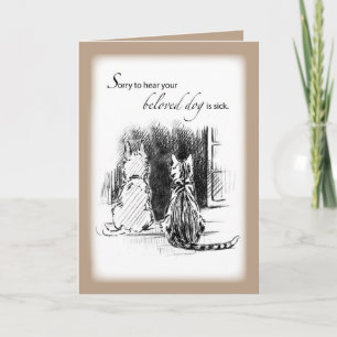 Det är tråkigt att höra att Hund är sjuk, att katt Kort