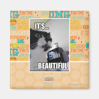 Det är vackert magnet