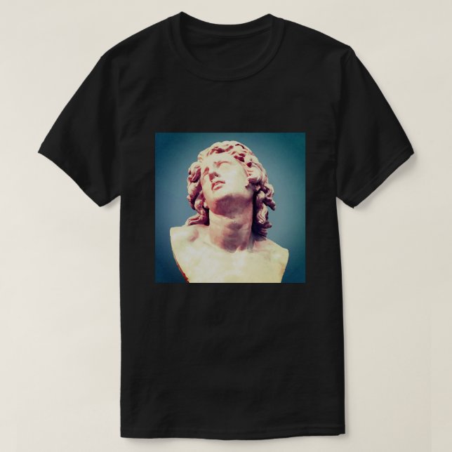 Det är vackert - T-Shirt (val av Färg) (Design framsida)