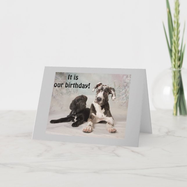 DET ÄR "VÅR" BIRTDAG-UNDERBARA DAG! KORT (Framsida)