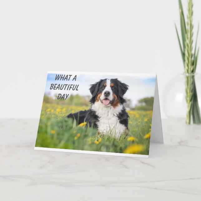 **DET ÄR VÅR VETERINÄRIES BIRTHDAY** KORT (Framsida)
