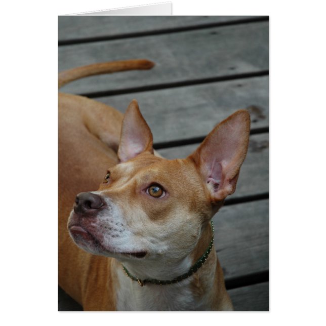 Det bäst i man hälsningskort (Framsidan)