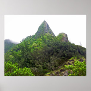 Det bästa av den Pali utkikaffischen på Oahu Poster