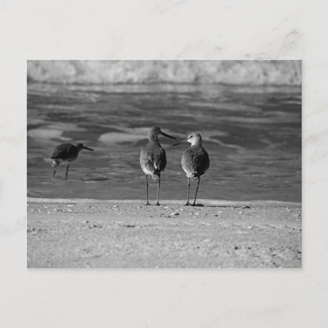 Det bästa Saken i livet är gratis Vykort (Framsida)