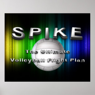 Det BÄSTA volleybollflyg planerar Poster