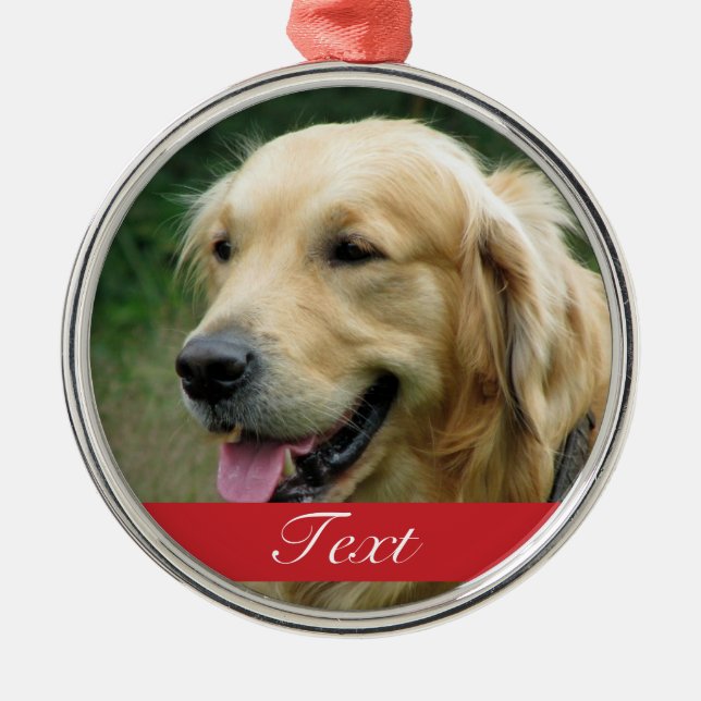 Det beställnings- det hundhusdjurfotoet och namn julgransprydnad metall (Framsidan)