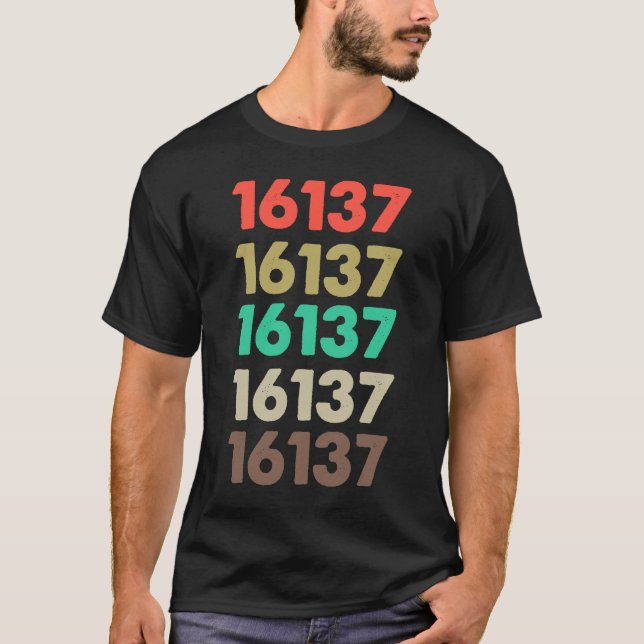 Det betyder 16137 Retro Zip-kod 16137 T Shirt (Framsida)
