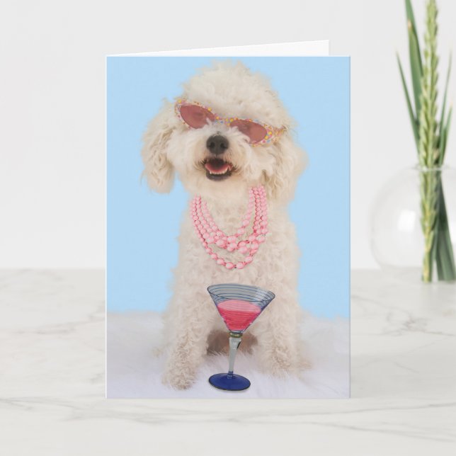 Det Bichon Frise födelsedagkortet fokuserar by för Kort (Framsida)