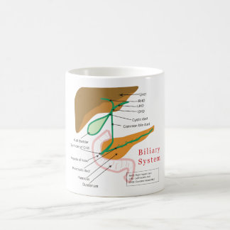 Det Biliary systemdiagrammet kartlägger Kaffemugg