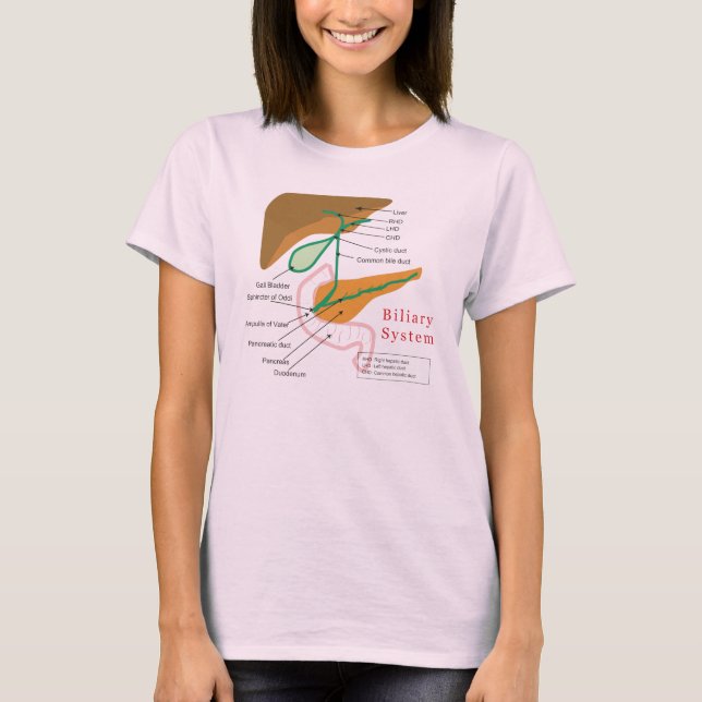 Det Biliary systemdiagrammet kartlägger T Shirt (Framsida)
