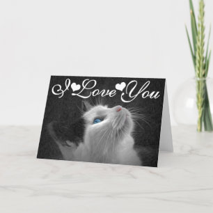 Det blått synade kattfotoet avbildar mig älskar kort