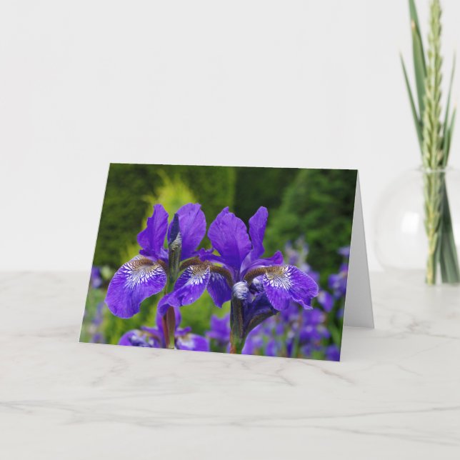 Det blom- hälsningkortet, förbigår inom kort (Framsida)