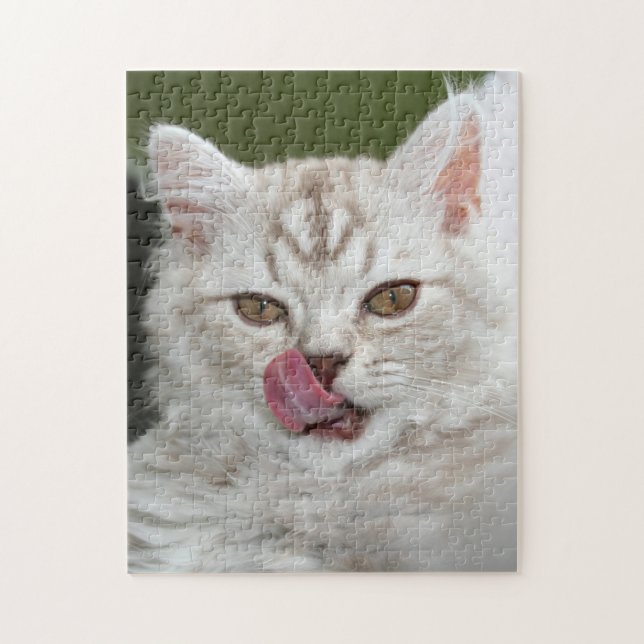 Det brittiska Långhåriget Kitten - Chocolate, Silv Pussel (Vertikal)