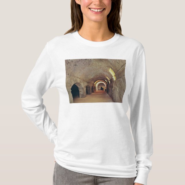 Det crypto-porticus tee (Framsida)