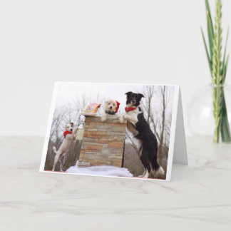 Det dåliga hundar är redot för tomten. kort