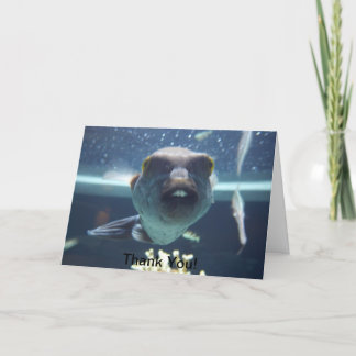 Det där bocktooth-fiskekort tack kort