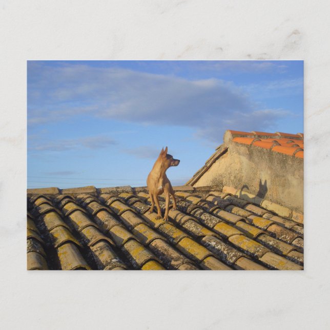 Det där borta. vykort (Framsida)