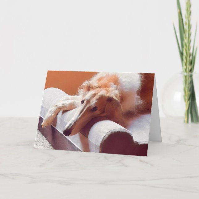 Det där Borzoi-ansiktet Meddelande (Framsida)