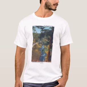 Det Denver berg parkerar, CO - björnbäckkanjon T-shirt