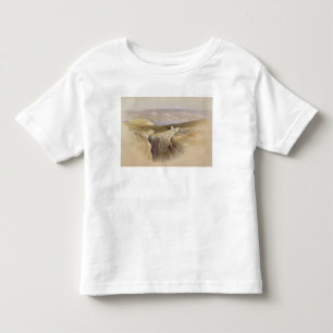 Det döda havet tittar in mot Moab, volym II Tee