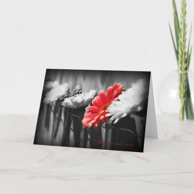 Det enda gratulationskortet kort (Framsida)