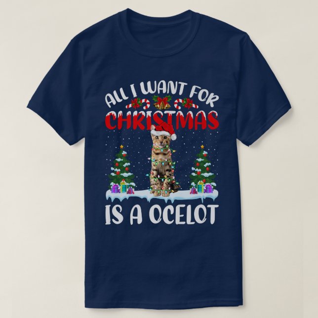 Det enda jag vill ha i julklapp är en okt t shirt (Design framsida)