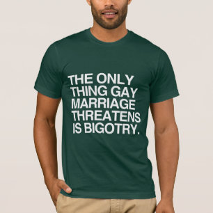 DET ENDA SOM HOMOÄKTENSKAP HOTAR ÄR FÖRDOM TEE SHIRT