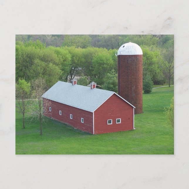 Det enkla livstidsvykortet (färg) vykort (Framsida)