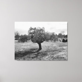 Det ensamma träd canvastryck