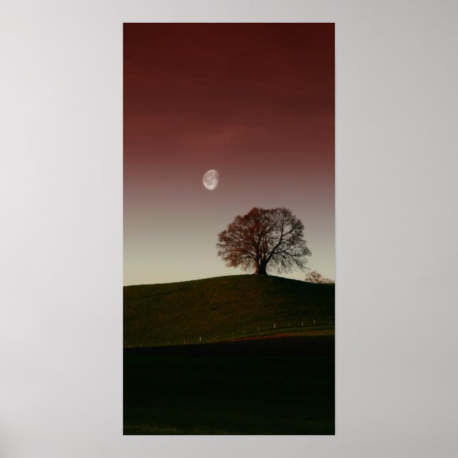 Det ensamma träd och bleken måne poster (Framsidan)