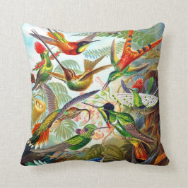 Det Ernst Haeckel Hummingbirdtrycket 1904 kudder Kudde