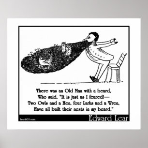 Det fanns en gamal man med ett skägg poster