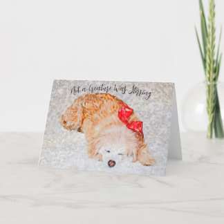 Det fanns inget nytt Helgdag-kort. Tack Kort